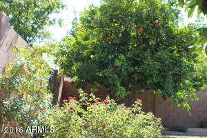 4053 E Reins Rd, Gilbert, AZ 85297 photo 68