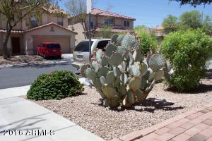 8950 E Plana Ave, Mesa, AZ 85212 photo 5
