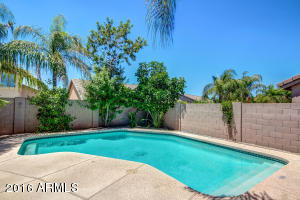4579 E Chisum Trl, Phoenix, AZ 85050 photo 37