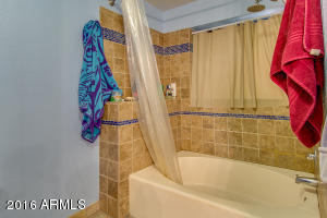 1232 W Sea Shell Dr, Gilbert, AZ 85233 photo 19