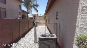 3863 E Cody Ave, Gilbert, AZ 85234 photo 29