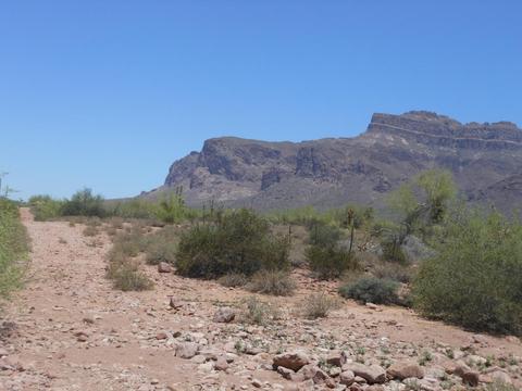 5934 E 22nd Ave, Apache Junction, AZ 85119 photo 55