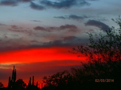 5934 E 22nd Ave, Apache Junction, AZ 85119 photo 59
