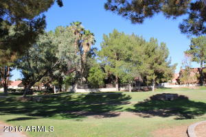 1244 E Redfield Rd, Gilbert, AZ 85234 photo 34