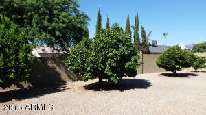 4309 E Yawepe St, Phoenix, AZ 85044 photo 15