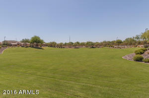 2430 E Park View Ln, Phoenix, AZ 85024 photo 32