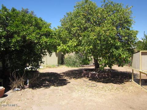 3054 W Crocus Dr, Phoenix, AZ 85053 photo 13