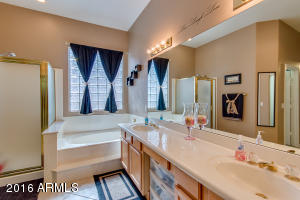 9848 E Navarro Ave, Mesa, AZ 85209 photo 21
