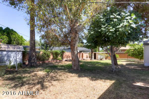 5136 N 2nd St, Phoenix, AZ 85012 photo 21