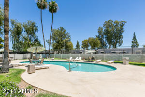2516 E 5th St, Tempe, AZ 85281 photo 14