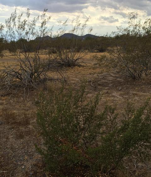 36 N Nnn N 12th St #'-', Phoenix, AZ 85086