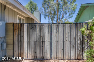 1328 E Harvest St, Mesa, AZ 85203 photo 18