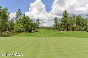 2500 E Golden Aster Cir, Payson, AZ 85541 photo 46
