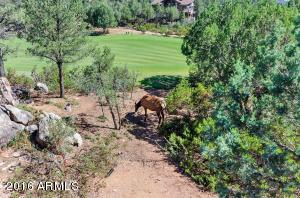 2500 E Golden Aster Cir, Payson, AZ 85541 photo 24