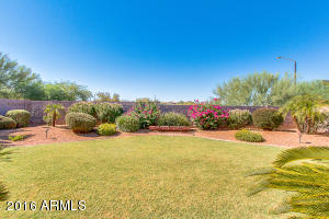 2463 E Pony Ln, Gilbert, AZ 85295 photo 33