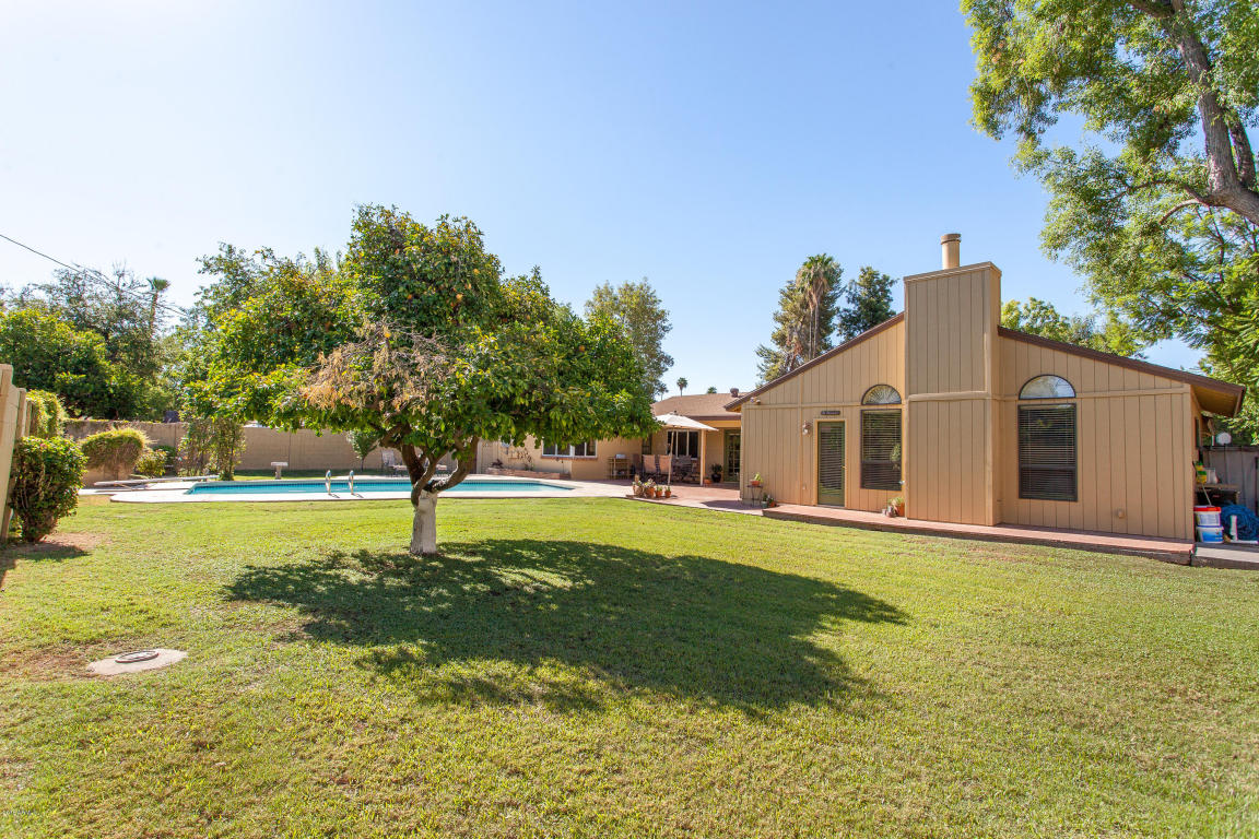 910 W Wagon Wheel Dr, Phoenix, AZ 85021 photo 10