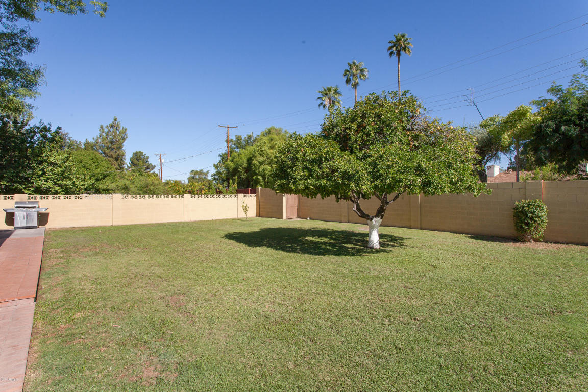 910 W Wagon Wheel Dr, Phoenix, AZ 85021 photo 35