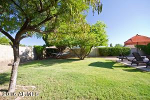 8 W Pershing Ave, Phoenix, AZ 85029 photo 35