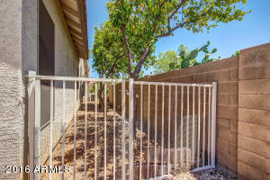 949 E Gail Dr, Gilbert, AZ 85296 photo 42