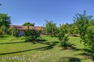 5415 E Osborn Rd, Phoenix, AZ 85018 photo 5