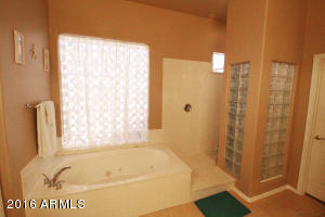 9505 E Princess Dr, Mesa, AZ 85207 photo 16