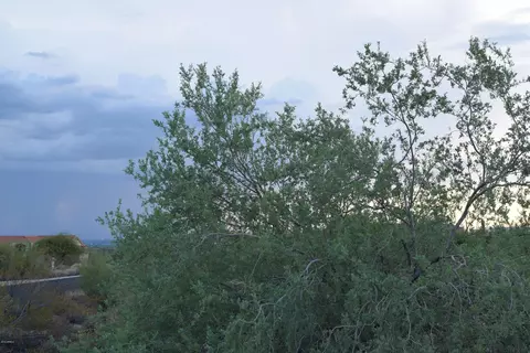 8540 E Mcdowell Rd #65, Mesa, AZ 85207 photo 8