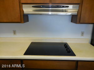 2100 E Harvard Dr, Tempe, AZ 85283 photo 14