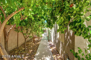 3035 E Boston St, Gilbert, AZ 85295 photo 45