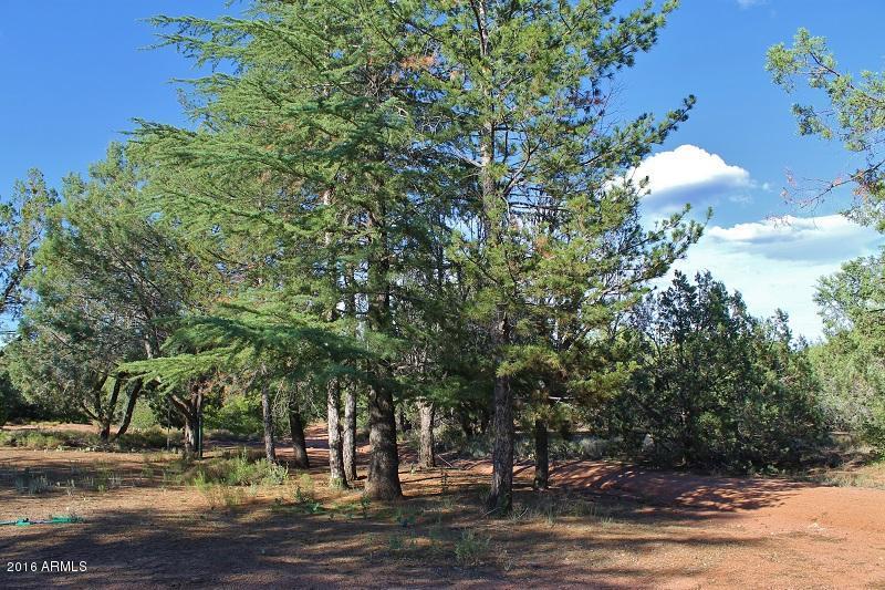 59 N Morris Rd, Payson, AZ 85541 photo 57