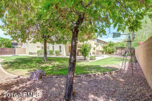 209 E Chelsea Ln, Gilbert, AZ 85295 photo 23