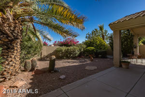 1401 E Sapium Way, Phoenix, AZ 85048 photo 6