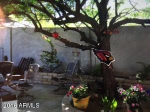 2115 E Lone Cactus Dr, Phoenix, AZ 85024 photo 18