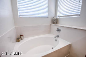 4324 E Page Ave, Gilbert, AZ 85234 photo 14