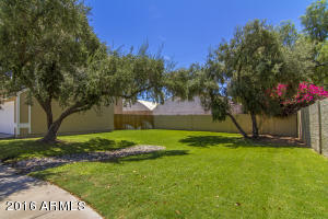 3505 E Le Marche Ave, Phoenix, AZ 85032 photo 17