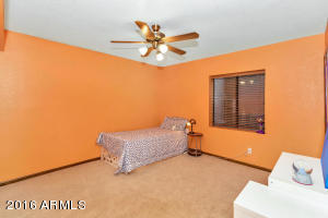 274 E Galveston St, Gilbert, AZ 85295 photo 18