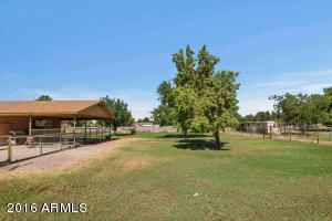 274 E Galveston St, Gilbert, AZ 85295 photo 34