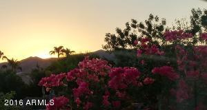 1408 E Tecoma Rd, Phoenix, AZ 85048 photo 6
