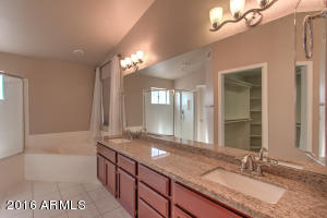 3854 E Decatur St, Mesa, AZ 85205 photo 29