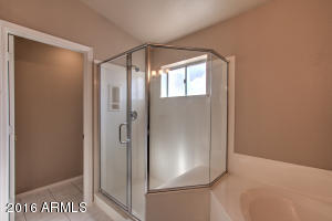 3854 E Decatur St, Mesa, AZ 85205 photo 31