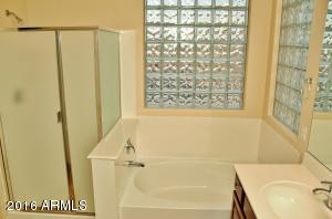 2980 E Andre Ave, Gilbert, AZ 85298 photo 18