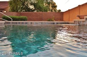 2980 E Andre Ave, Gilbert, AZ 85298 photo 57