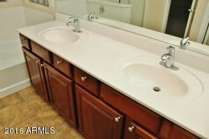 2980 E Andre Ave, Gilbert, AZ 85298 photo 49