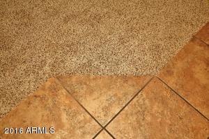 2980 E Andre Ave, Gilbert, AZ 85298 photo 42