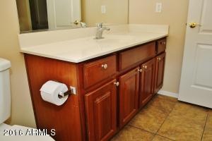 2980 E Andre Ave, Gilbert, AZ 85298 photo 52