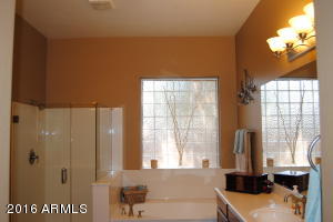 2808 E Flower St, Gilbert, AZ 85298 photo 11