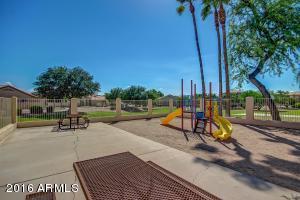 1393 W Park Ave, Gilbert, AZ 85233 photo 34