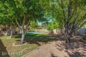 1393 W Park Ave, Gilbert, AZ 85233 photo 22