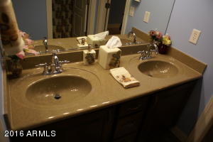 10851 E Renata Cir, Mesa, AZ 85212 photo 18