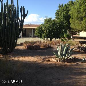 6561 E Decatur St, Mesa, AZ 85205 photo 26