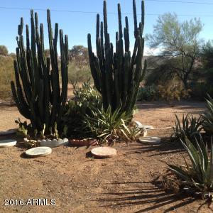 6561 E Decatur St, Mesa, AZ 85205 photo 23